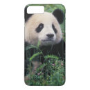 Search for sitting phone cases Bear