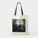 Search for canary accessories Tropical
