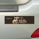 Search for frenchies bumper stickers Bully