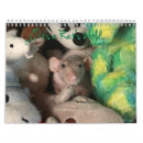 Search for rat calendars Pets