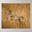 Search for behavior chart Color image