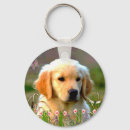 Search for golden labrador key rings Cute
