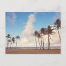 Search for kauai postcards Palm trees