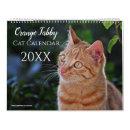 Search for cute kitten calendars 2026