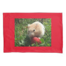 Search for strawberry pillowcases Cute
