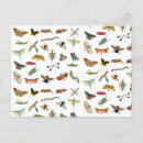 Search for vintage insect illustration postcards Bugs