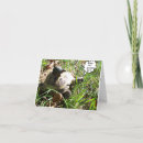 Search for pond turtle cards Photography