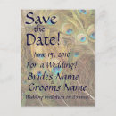 Search for peacock save the dates Bridal