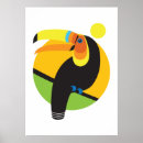 Search for toucan birds posters Nature