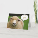 Search for white sheep cards Country