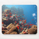 Search for coral sea mousepads Diving