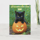 Search for cat halloween cards Jack o' lantern