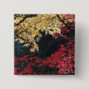 Search for autumn colours badges Foliage