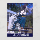 Search for figurehead postcards School