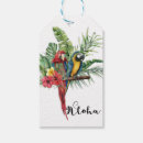 Search for macaw gift wrap Birthday