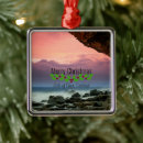 Search for coast christmas tree decorations Nature