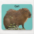 Search for capybara mousepads Wild