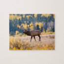 Search for colorado puzzles Elk