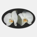 Search for abstract realism Floral