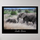 Search for mother baby elephant posters Africa