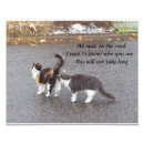 Search for funny cat pictures posters For her