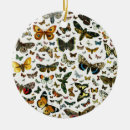 Search for caterpillar christmas tree decorations Butterflies
