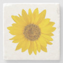 Search for sunflower coasters Sunny