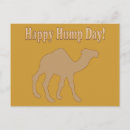 Search for funny hump day postcards Humour