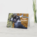 Search for baby goat birthday cards Cute