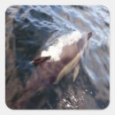 Search for surfacing stickers Animals