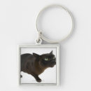 Search for photo studio key rings Colour image