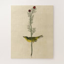 Search for flying bird Colour