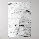 Search for trunks art Birch