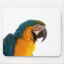 Search for macaw mousepads Zoo
