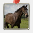 Search for thoroughbred christmas tree decorations Equine