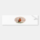 Search for birding bumper stickers Wild