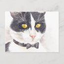 Search for tuxedo postcards Illustration