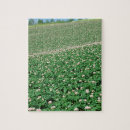 Search for potato puzzles Farm
