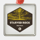 Search for aurora christmas tree decorations Illinois