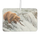 Search for bear car air fresheners Animal