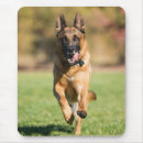 Search for german shepherd mousepads Outdoors