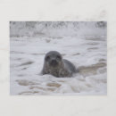Search for colour prints postcards Beach