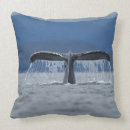 Search for humpback whale cushions Nature