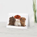 Search for gerbil cards From your friends