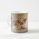 Search for orange kitten mugs Cat lover