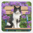 Search for cat with flowers stickers Garden