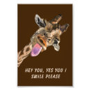 Search for funny giraffe posters Giraffes