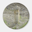Search for ground squirrel magnets Nature photography