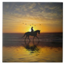 Search for horse riding tiles Rider