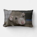 Search for rat cushions Pet